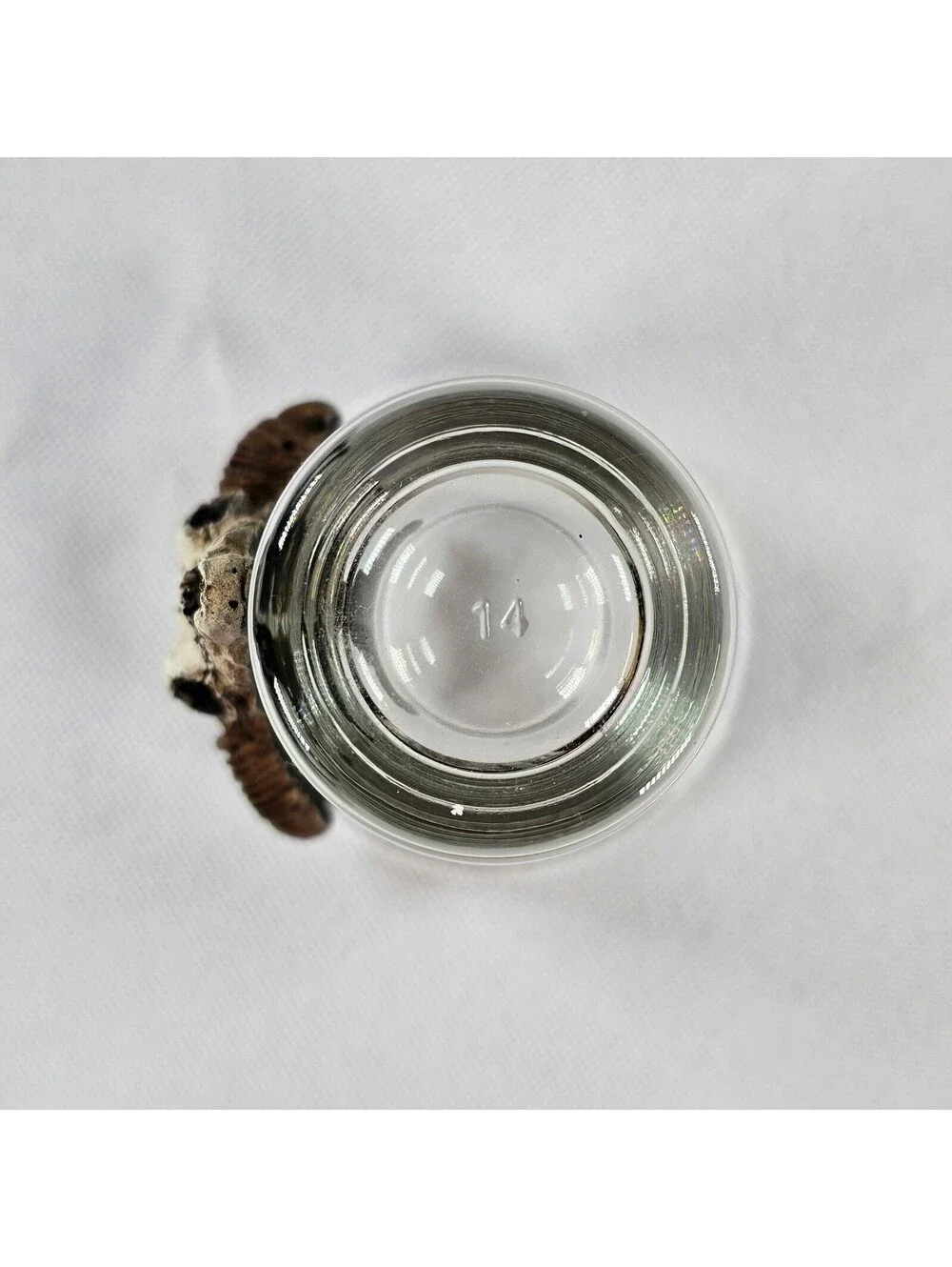 Southwestern Steer Skull Shot Glass 3D Resin Bull Head Clear Barware Decor